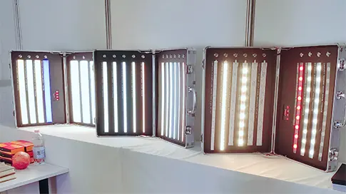 Illuminating Opportunities at LIGHT 2024