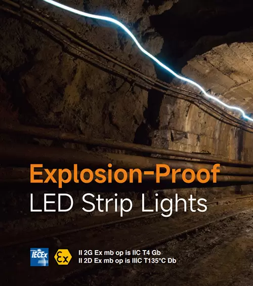 Explosion-Proof Series